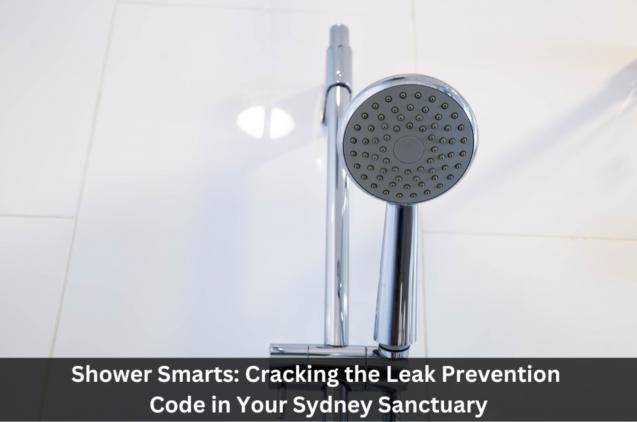 Read Article: Shower Smarts: Cracking the Leak Prevention Code in Your Sydney Sanctuary