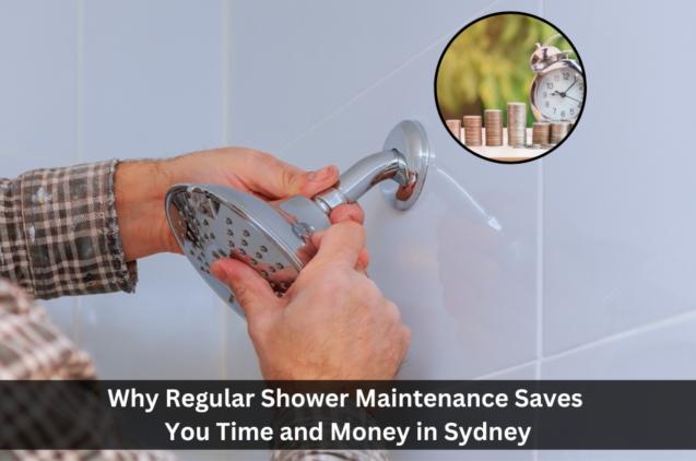 Read Article: Why Regular Shower Maintenance Saves You Time and Money in Sydney