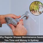 Why Regular Shower Maintenance Saves You Time and Money in Sydney
