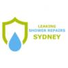 Visit Profile: Leaking Shower Repairs Sydney