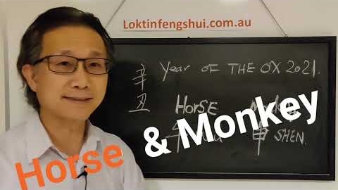 Watch Video: Year of the Yin Metal Ox 2021 animal sign luck for the Horse and the Monkey
