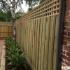 1.95m fence with Lattice and Capping