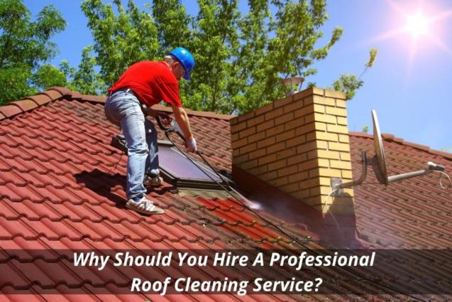 Read Article: Why Should You Hire A Professional Roof Cleaning Service?