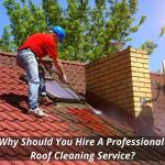 Why Should You Hire A Professional Roof Cleaning Service?