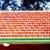 Orange Terracotta (Terracotta Tile Roof Restoration)