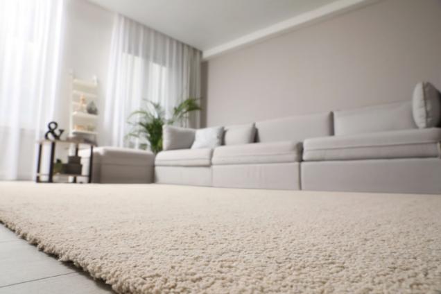 Top 10 Benefits of Dry Carpet Cleaning