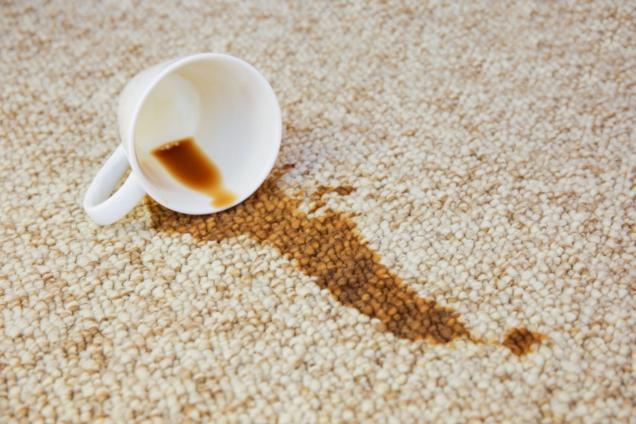 Top 9 Secret Carpet Cleaning Tips From the Pros
