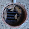 Preventing Blocked Drains Caused by Tree Roots