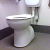 Read Article: Toilet Repair