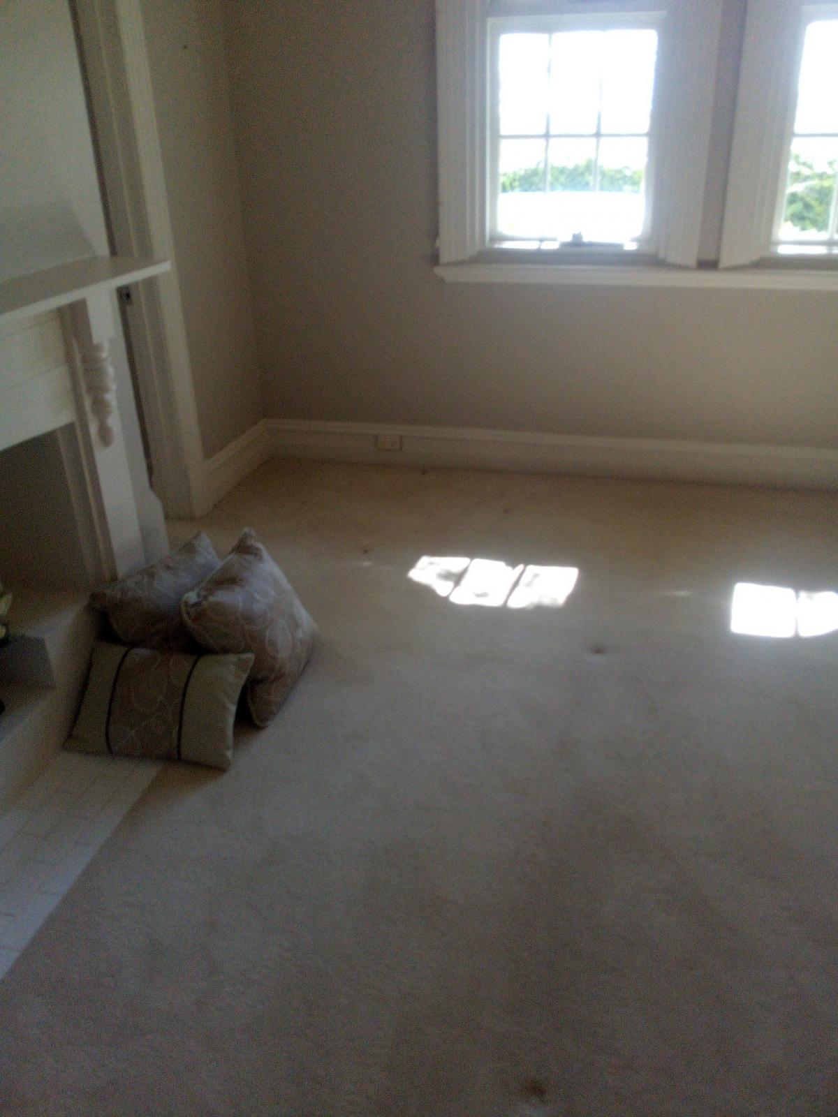 View Photo: Carpet Cleaning 