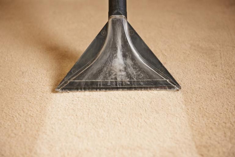 View Photo: Professional Carpet Cleaning
