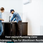 Read Article: Year-round Plumbing Care: Maintenance Tips For Blacktown Residents