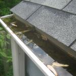 What You Need To Know Before You Hire A Gutter Cleaning Service