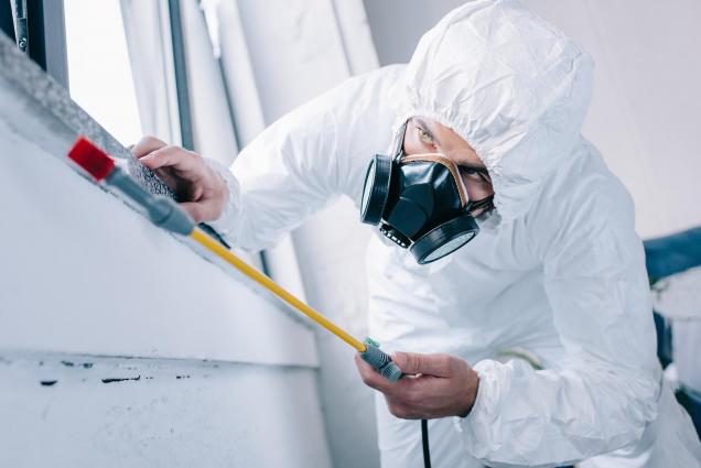 Why Your Business Should Consider Pest Control 