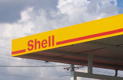 Shell Canopy