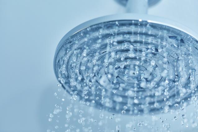 Read Article: Select the Right Showerhead for You