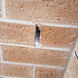 View Photo: Weepholes to Brickwork