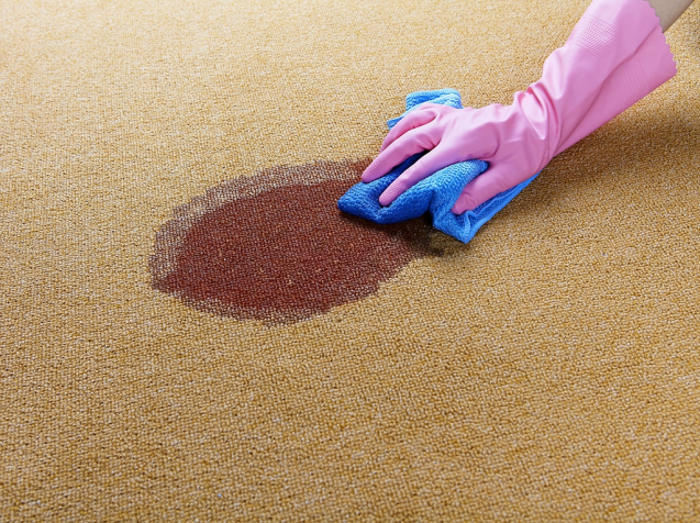 15 Unexpected Ways Carpet Cleaning Can Make Your Life Better