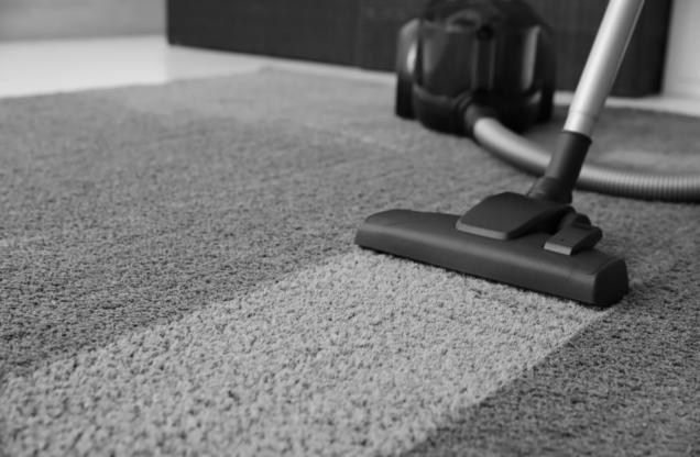 Read Article: Homeowners' Guide to Professional Carpet Cleaning Costs