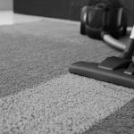 Homeowners' Guide to Professional Carpet Cleaning Costs