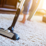 Move Out Carpet Cleaning Guide