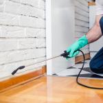 The 10 Best Eco Friendly Carpet Cleaning Methods
