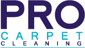 Visit Profile: Pro Carpet Cleaning