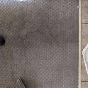 View Photo: Heavily Soiled Carpets in Rental House