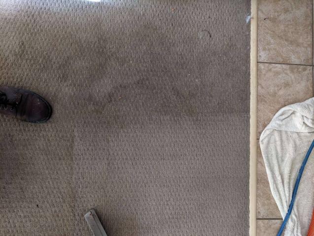 View Photo: Heavily Soiled Carpets in Rental House