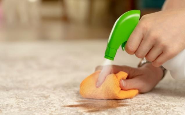 The Ten Best Carpet Stain Removal Tips