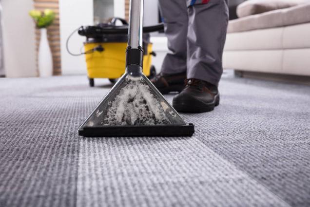 View Photo: Dry Carpet Cleaning