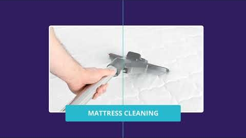 Watch Video: Carpet Cleaning – North Sydney