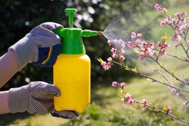 Read Article: Pests And The Summer Heat