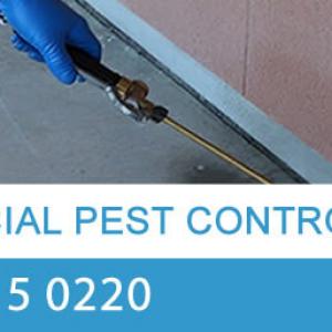 View Photo: Commercial Pest Control