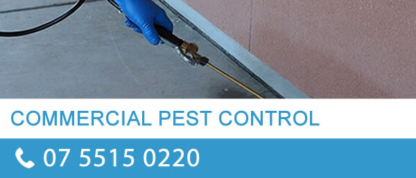 View Photo: Commercial Pest Control