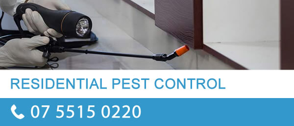 View Photo: Residential Pest Control