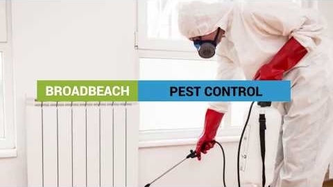 Watch Video : Pest Control Broadbeach – 4218