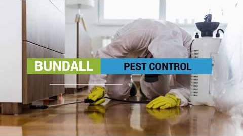 Watch Video : Pest Control Bundall – 4217