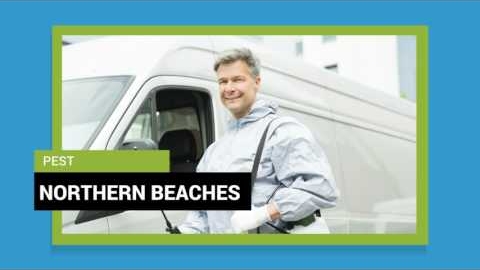 Watch Video : Pest Control Northern Beaches | Pest Treatment Experts