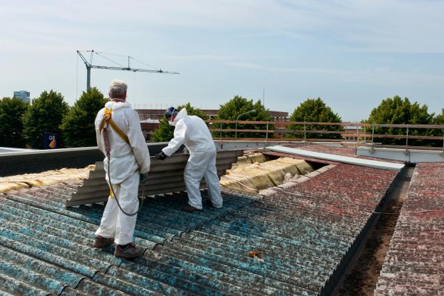 7 Reasons To Use A Professional Asbestos Removal Company