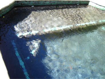 View Photo: Making Your Own Colour - Swimming Pool Renovation.