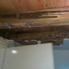 Termite Damage in Home