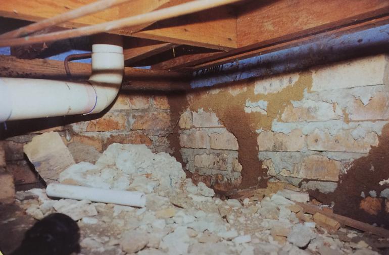 View Photo: Termite Leads