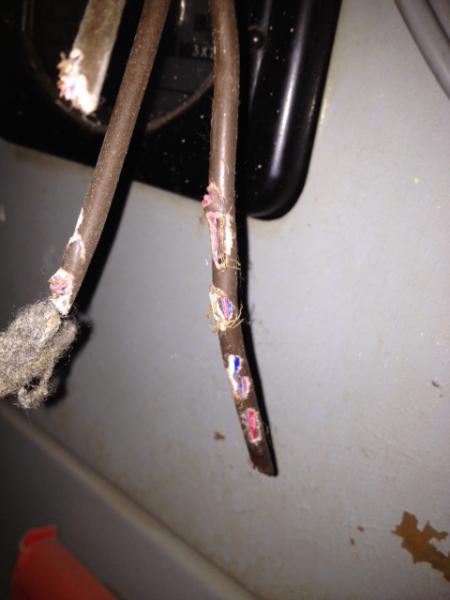 View Photo: Wire Damage by Rodent