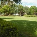 View Photo: Kikuyu looking its best in a park