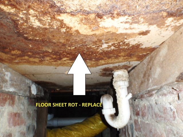 View Photo: Floor sheeting bathroom Leak