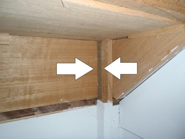 View Photo: Termite lead going up underside of stairs