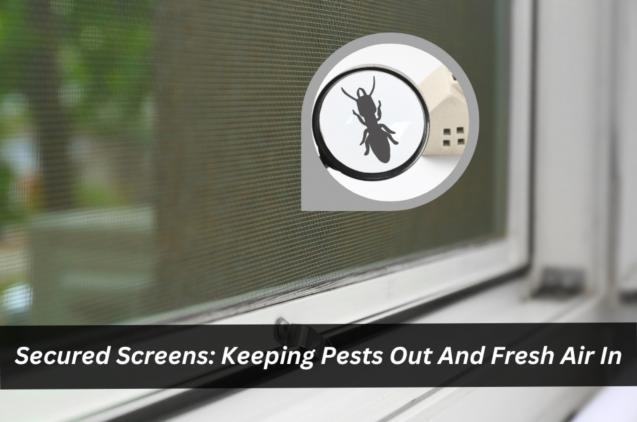 Read Article: Secured Screens: Keeping Pests Out And Fresh Air In
