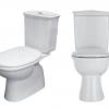 https://www.sinkandbathroomshop.com.au/shop/toilets/back-to-wall-toilet-suites/positano-rimless-toilet-suite/