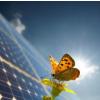 Read Article: Solar Energy News - Sun Connect
